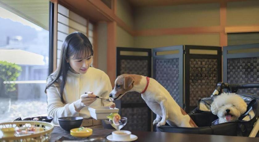 Corredor Yugawara Dog＆Resort Atami  Exterior foto