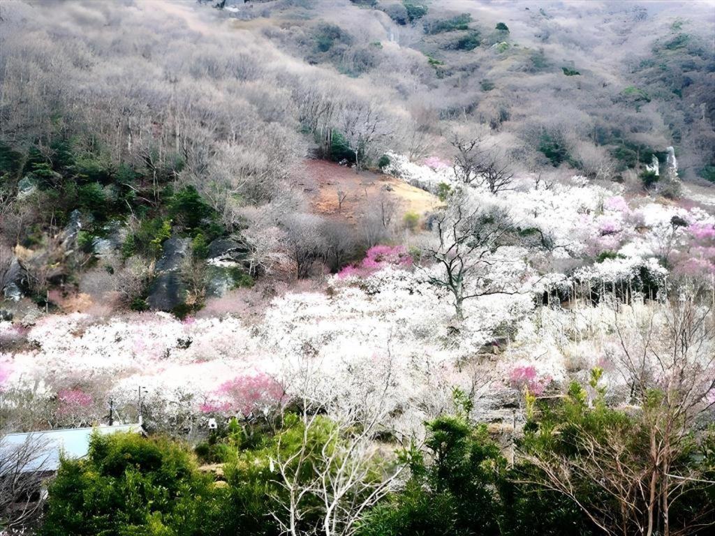 Corredor Yugawara Dog＆Resort Atami  Exterior foto